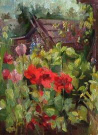 Poppies in Bloom. 2004